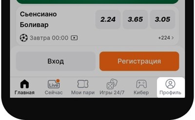 Винлайн мобайл 2