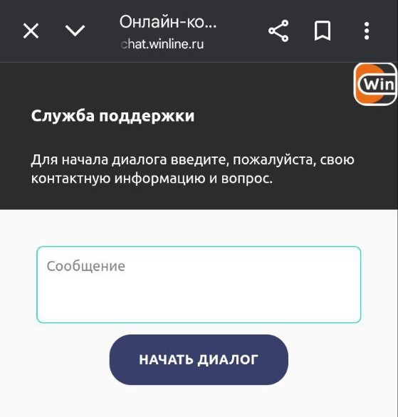 Окно лайв-чата в мобильной версии сайта БК Winline