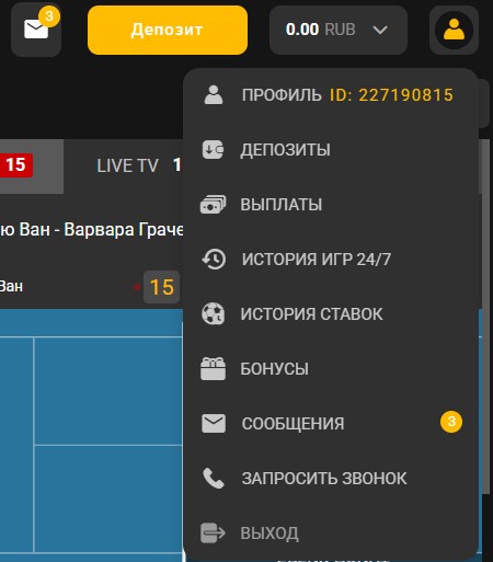 Как ставить экспресс в БК Мелбет