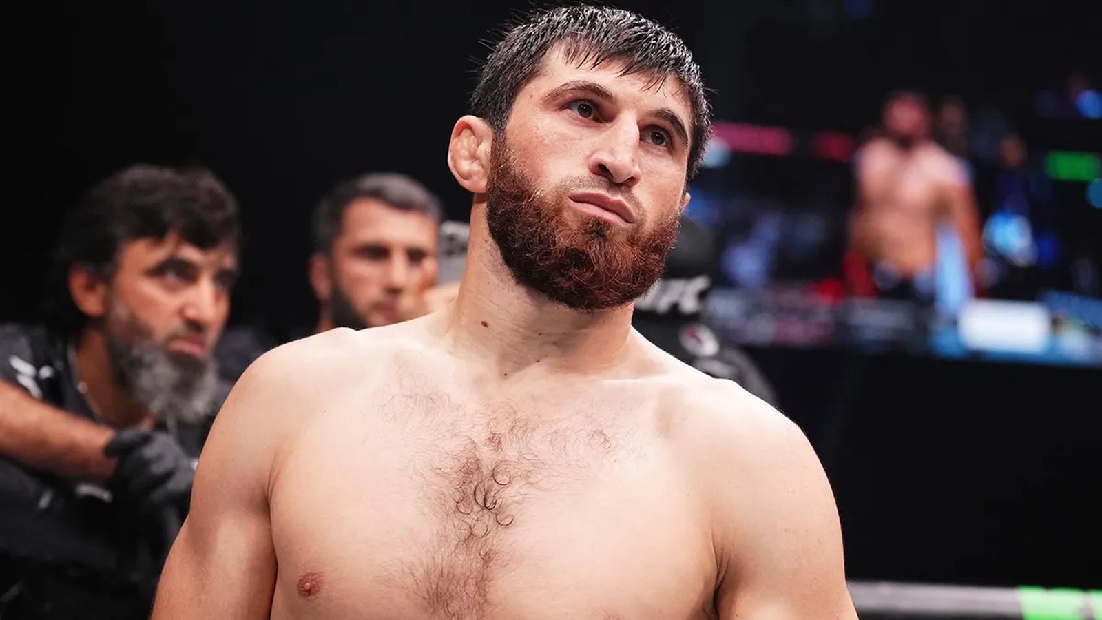 Анкалаев сразится с Раунтри на турнире UFC в Абу-Даби