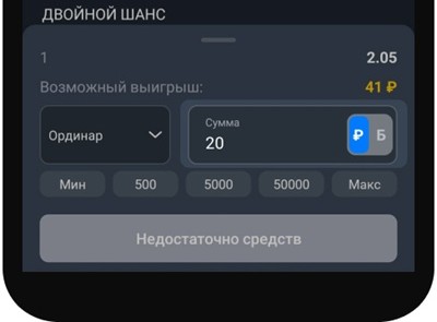 Определитесь с размером пари и подтвердите свой выбор, нажав на кнопку «Сделать ставку».