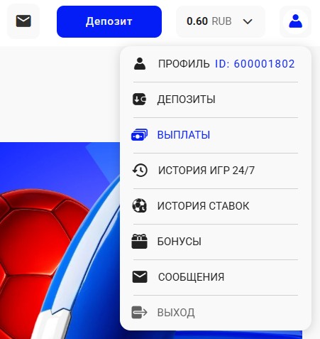 Нажмите на значок профиля и кликните «Выплаты».