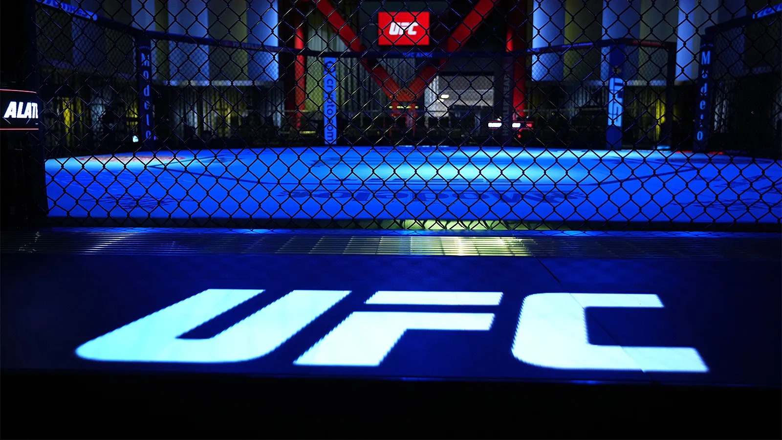 UFC предсказали серьезные проблемы из-за погоды на турнире в Белом доме