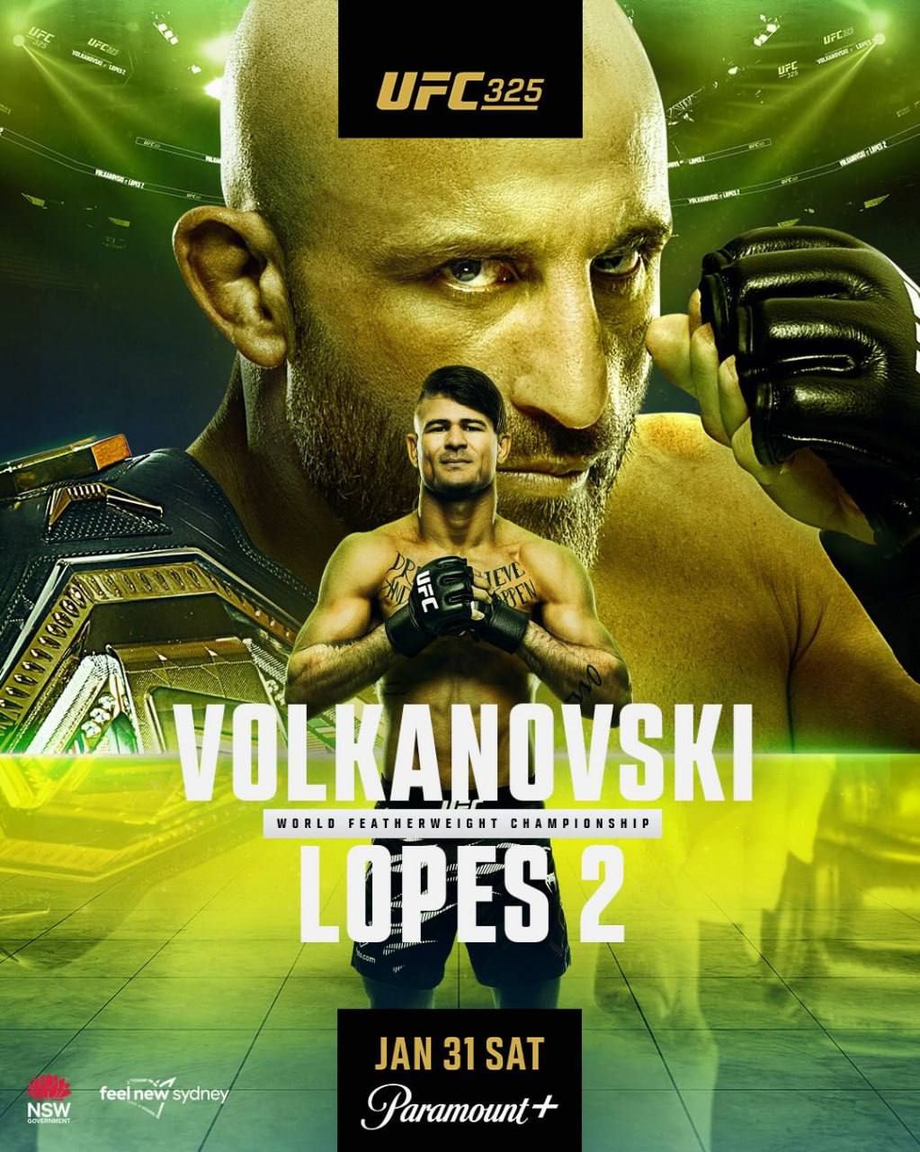 Постер UFC 325