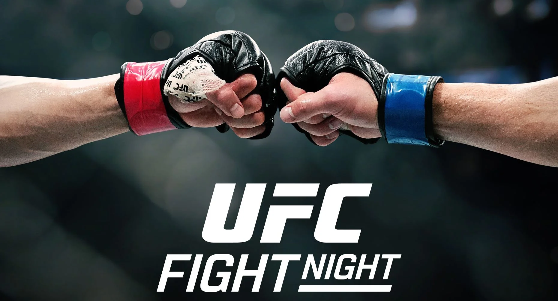 Элис Рид против Шанель Дайер в UFC: американка ставит на кон идеальную серию чередования исходов