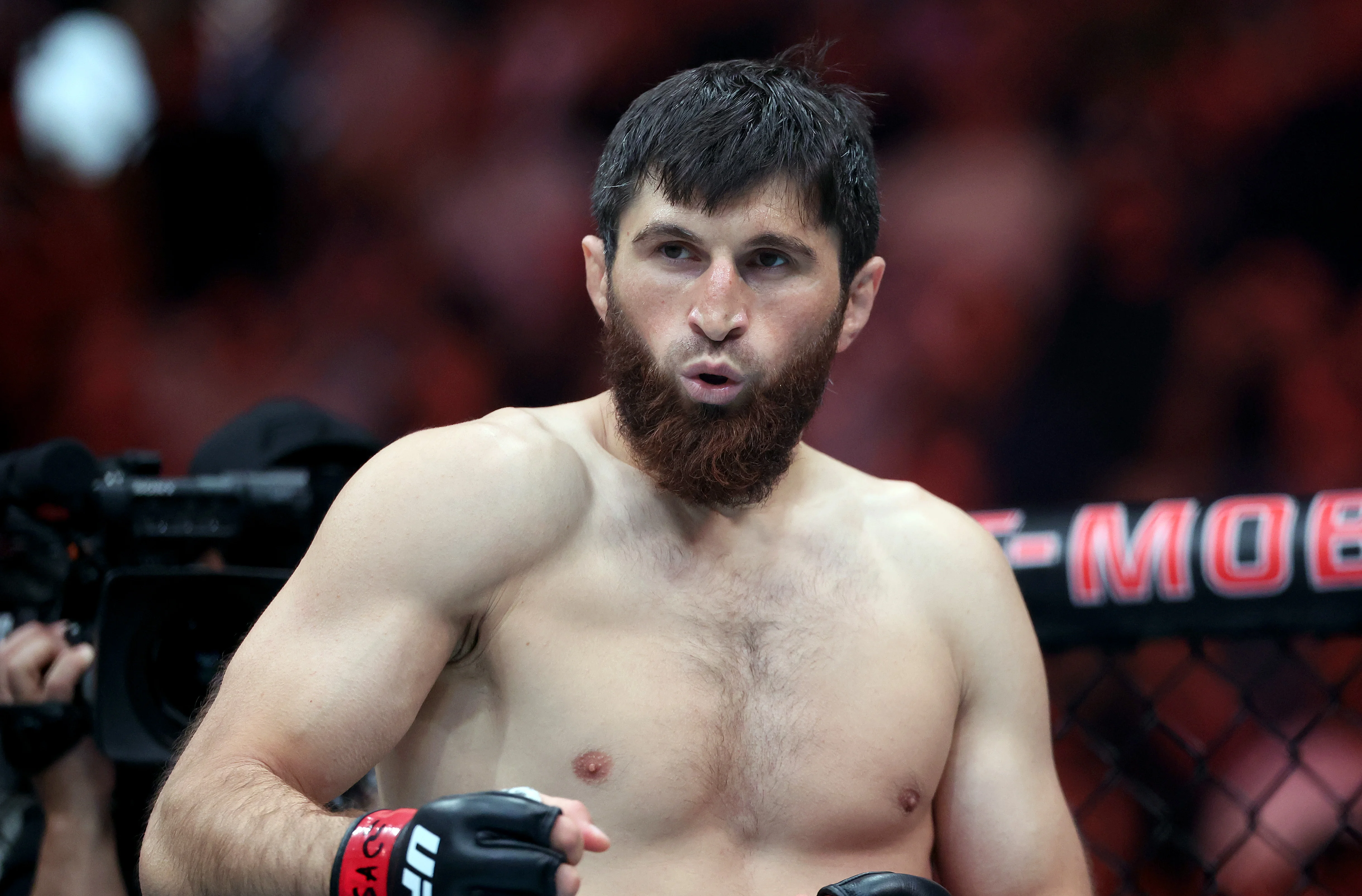 Магомед Анкалаев (Sean M. Haffey/Getty Images)