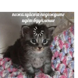 Максим Евдокимов